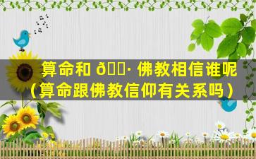 算命和 🌷 佛教相信谁呢（算命跟佛教信仰有关系吗）